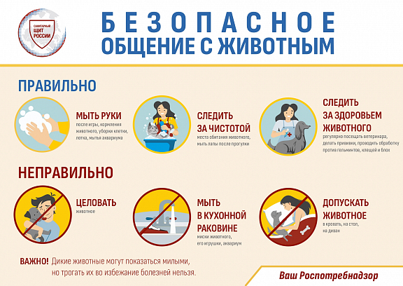 САНИТАРНЫЙ ЩИТ СТРАНЫ — БЕЗОПАСНОСТЬ ДЛЯ ЗДОРОВЬЯ - 3
